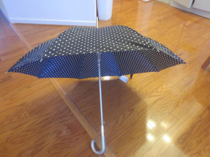 Totes Umbrella 2