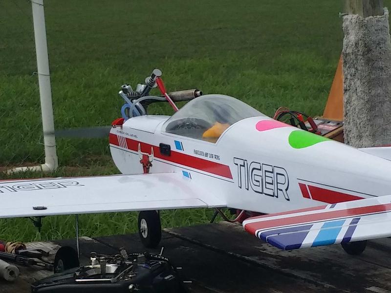 tiger 3 rc plane