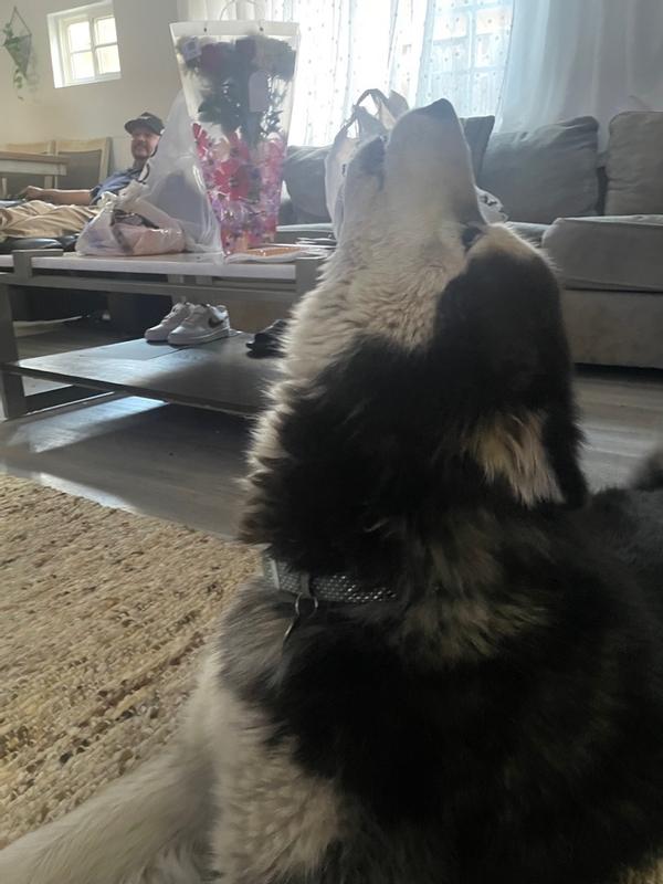 Photo from zzayraaa