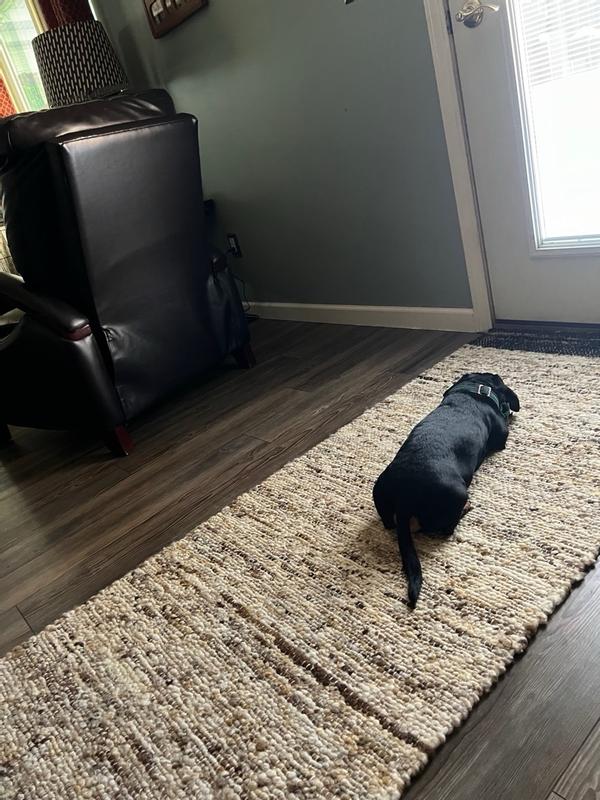 Photo from courtneys506