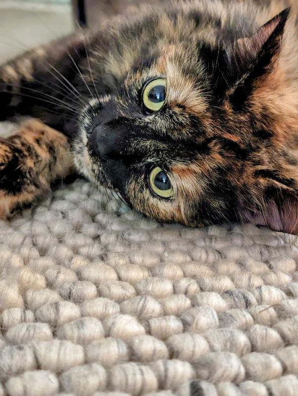 Photo from laurennd534_2800