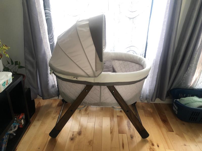 ingenuity bassinet carrington