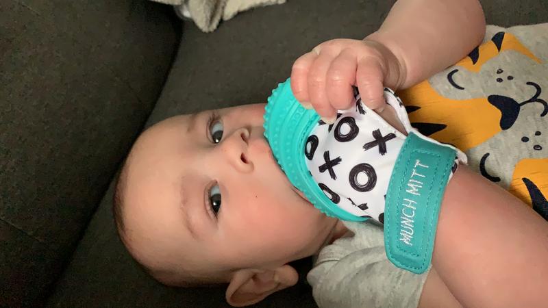 munch mitt toys r us