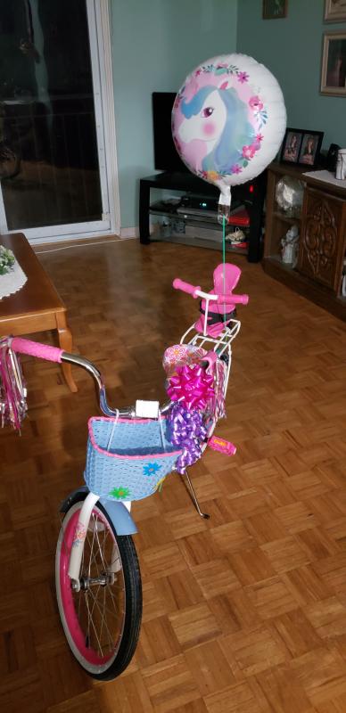 journey girl bike 18 inch