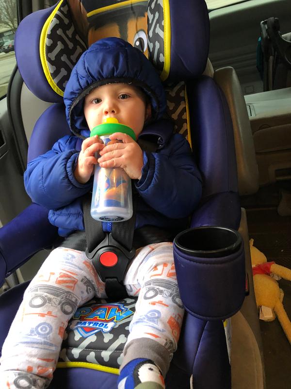paw patrol booster seat