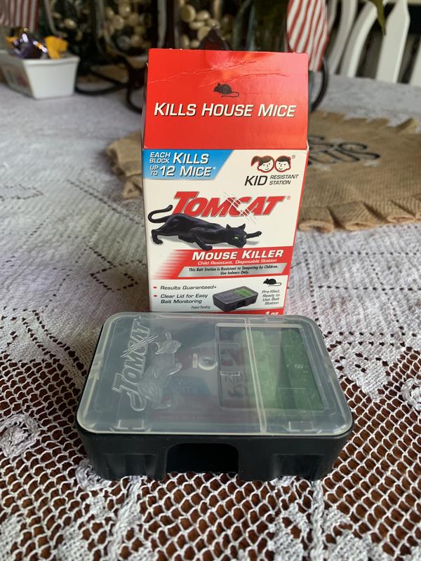 What's The Difference Between Mouse Traps and Bait Stations? - Midway Pest  Management