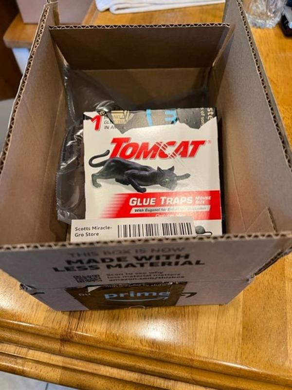 Tomcat Cardboard Glue Traps, 4 Pack