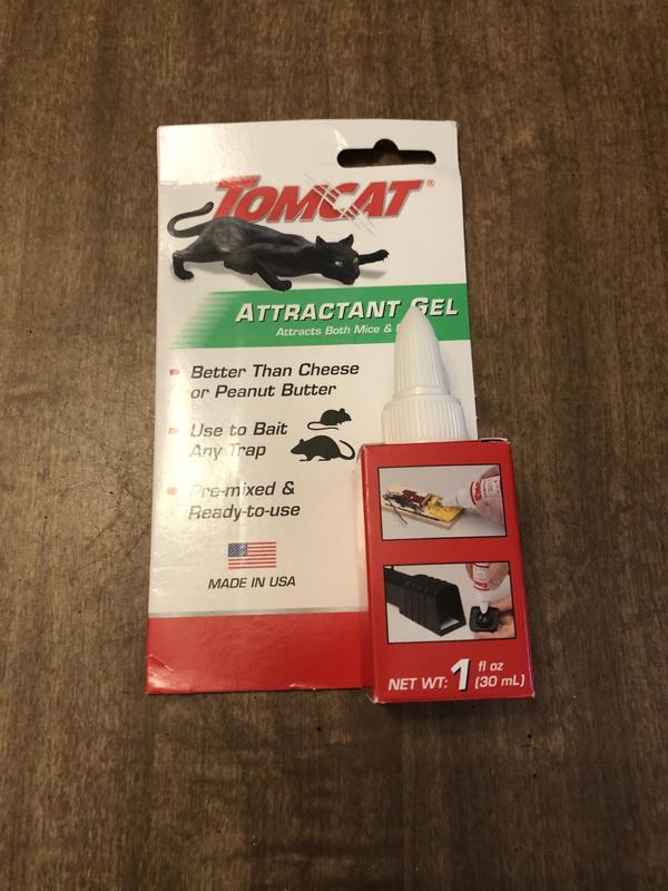 TOMCAT Attractant Gel Rodent Traps 0362210 at Lowes.com