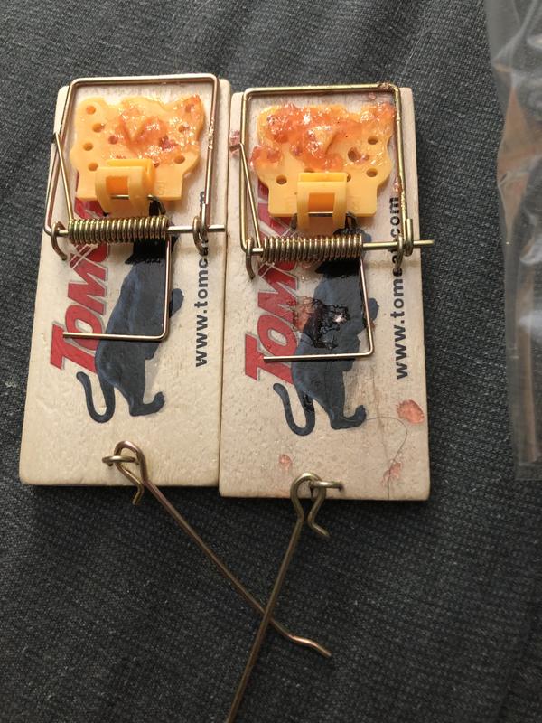 Tomcat Mouse Traps (Wooden), Inexpensive, Effective Way to Catch