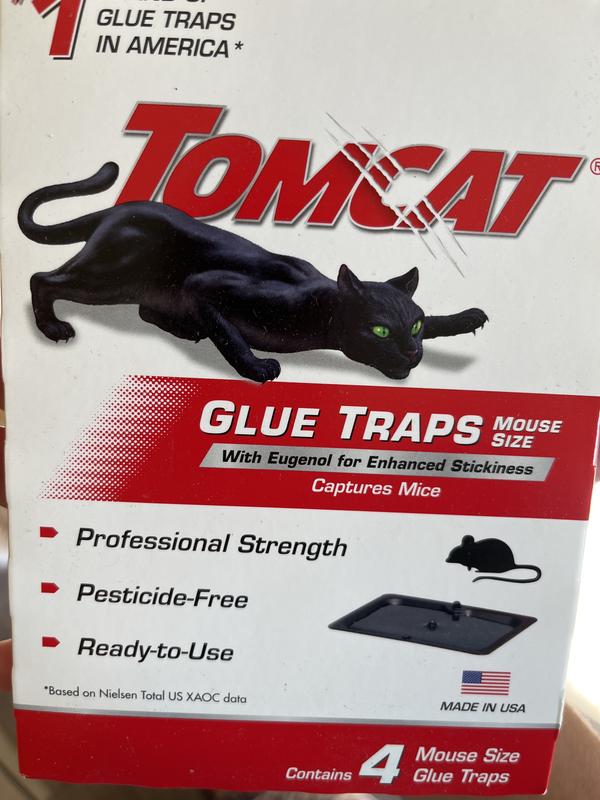 TOMCAT Mouse Glue Trap Professional Strength Non-toxic 4 Total for sale online 