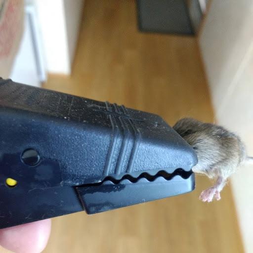 Tomcat Mouse Snap Trap