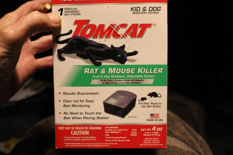 TOMCAT rat Gel VS Bacon 🥓 #tomcat #rat#pestcontrol#ratexterminator #t