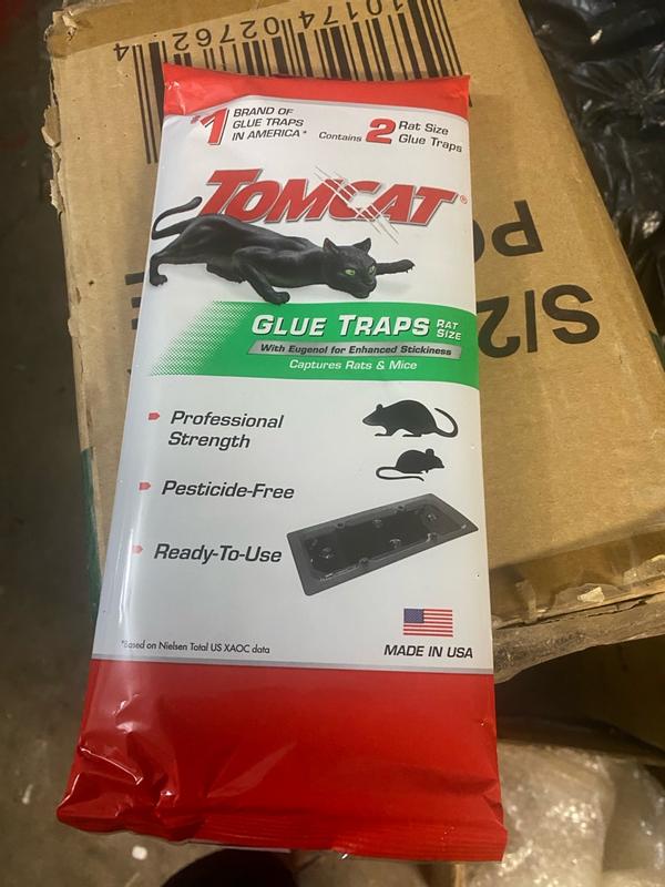 TOMCAT Rat Traps in the Animal & Rodent Control department at Lowes.com