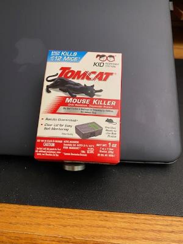 TOMCAT Refillable Bait Station Mouse Killer (8-Refill) - Town