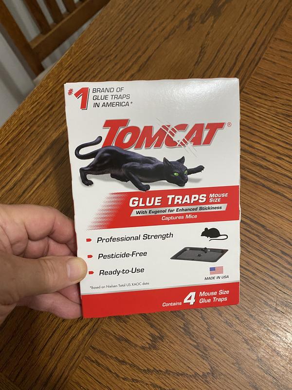 TOMCAT Mouse Size Glue Traps (4-Pack) - Anderson Lumber