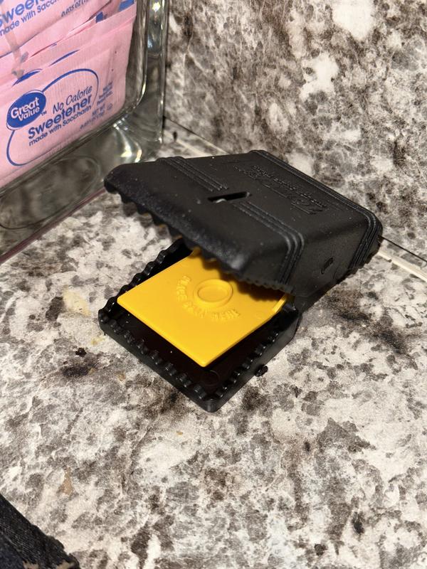 Trap after mouse took off with adequate am’t of soft dog treat