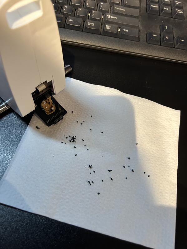 showing trap with rodent activity yet not activated