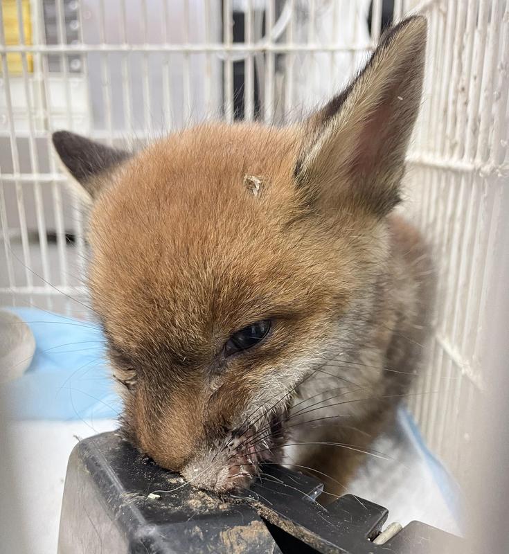 Photo - commentaire 6.