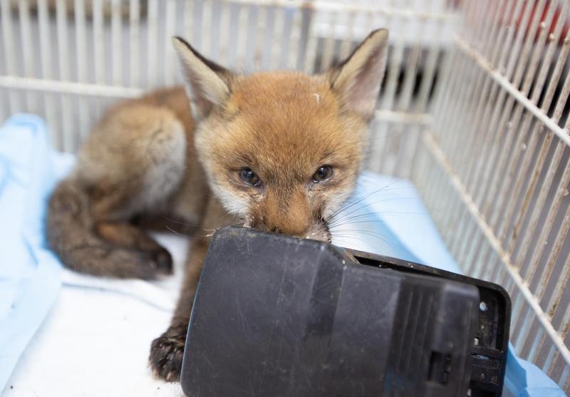 Photo - commentaire 5.