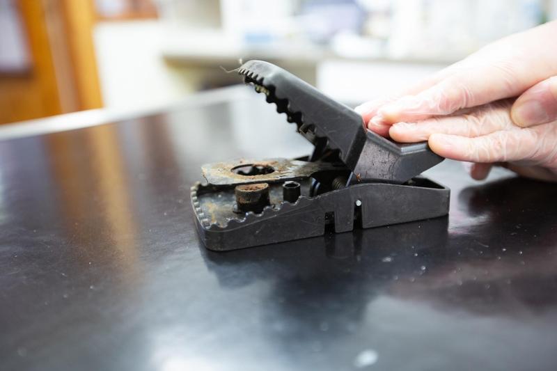 Photo - commentaire 4.