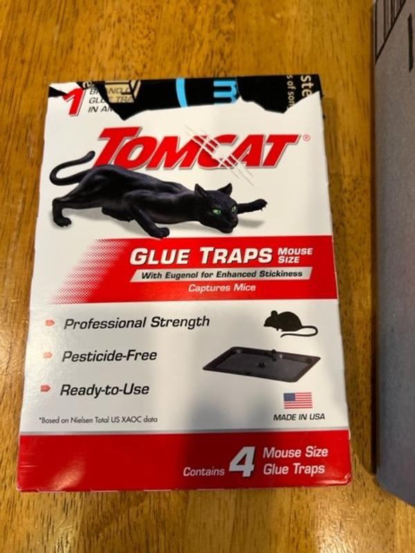 Tomcat® Mouse Size Glue Traps, 4 pk - Fred Meyer