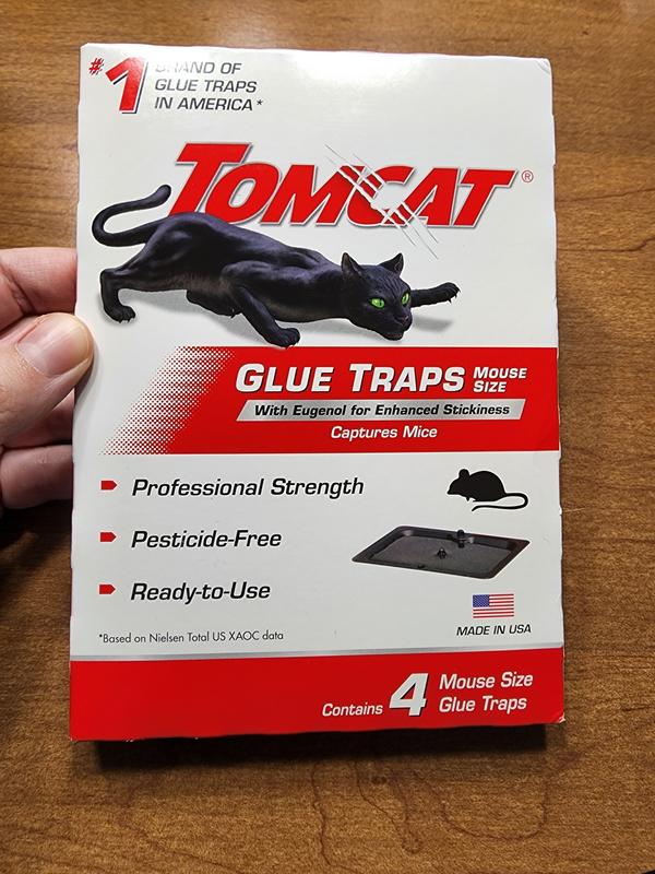 TOMCAT Mouse Glue Traps W Eugenol for Enhanced Stickiness Non Toxic 4 Boards for sale online 