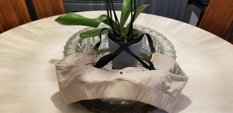 Review Thumbnail Image 4 379999485