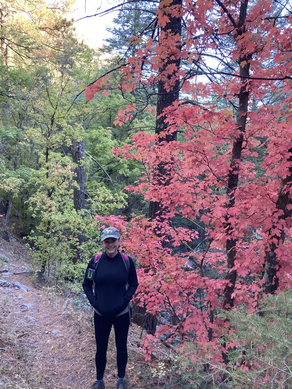 Review Thumbnail Image 0 261817632