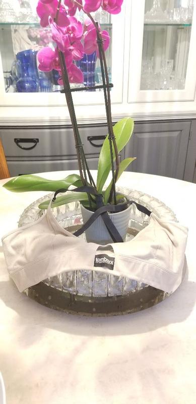 Review Thumbnail Image 2 379999485