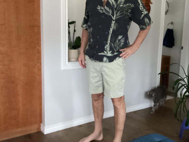 New shorts with a classic camp shirt