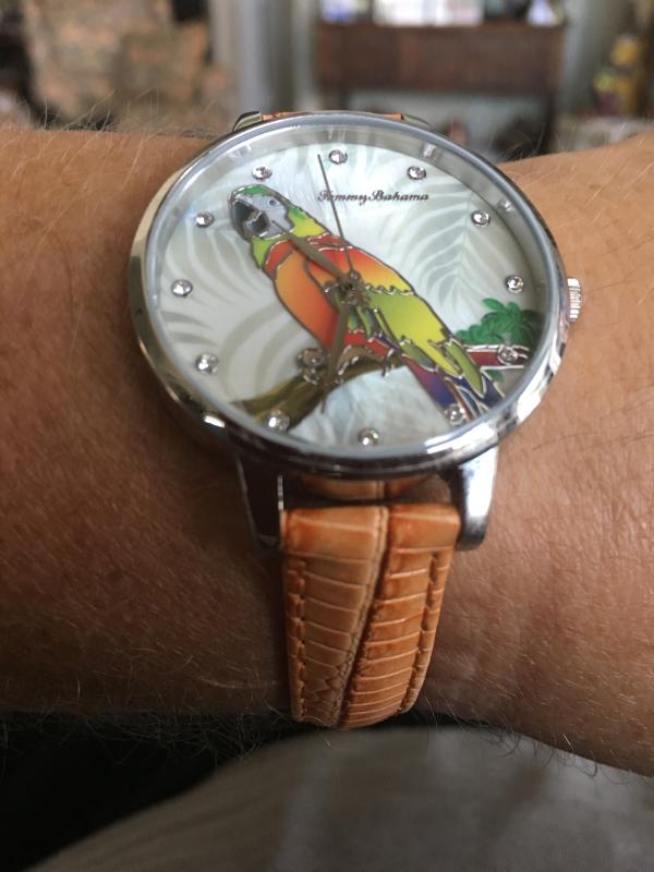 Parrot Head Timepiece