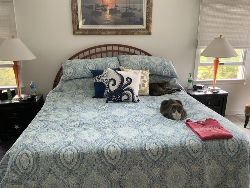 Perfect for the beach house