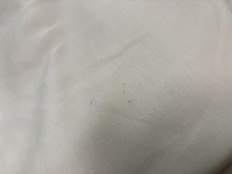 Review Thumbnail Image 1 299170306