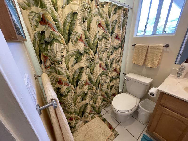 Guest bathroom