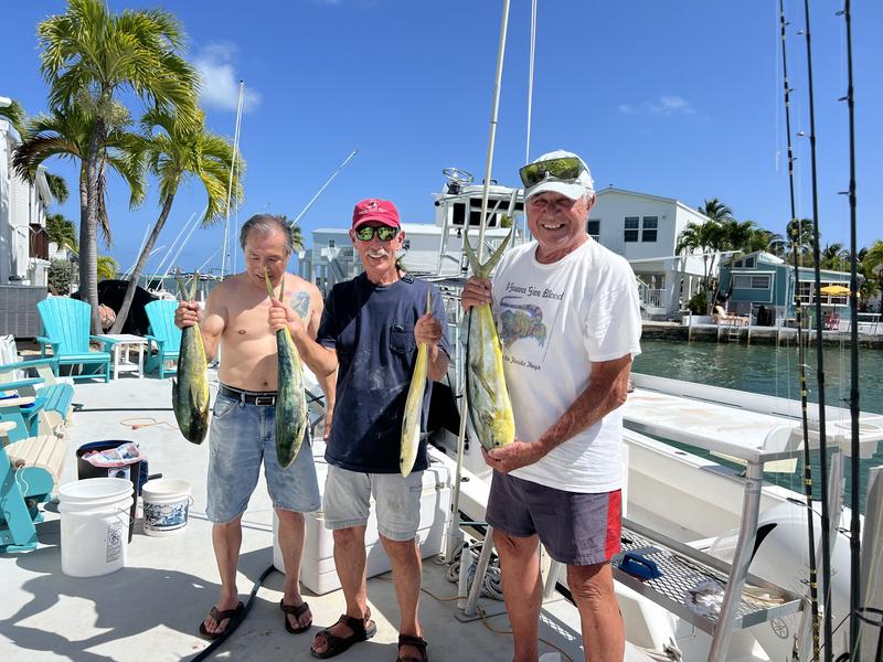 Review Thumbnail Image 0 293382234