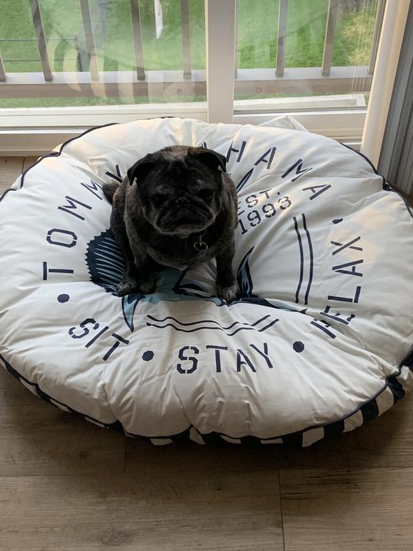 36 inch hotsell dog bed