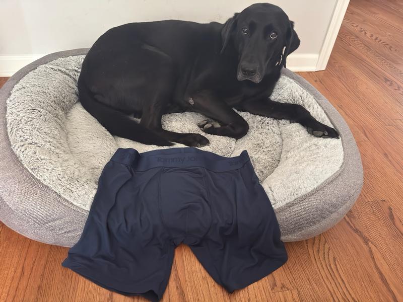 Review Thumbnail Image 1 386074358