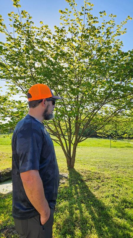 Review Thumbnail Image 3 385025648