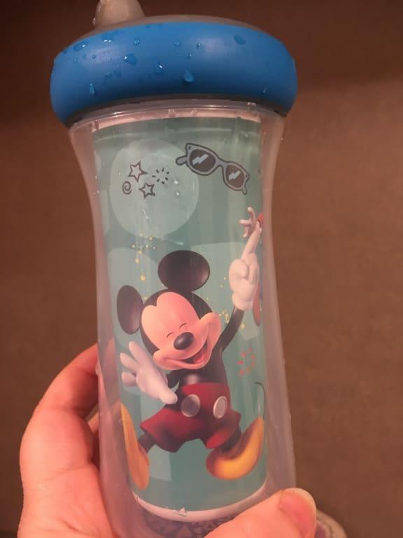 Buy Disney Frozen Insulated Sippy Cup 9 Oz, 2pack for CAD 7.98 | Toys R Us  Canada