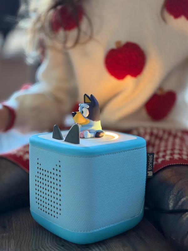 Customer photo for "Intuitive design and engaging characters"
