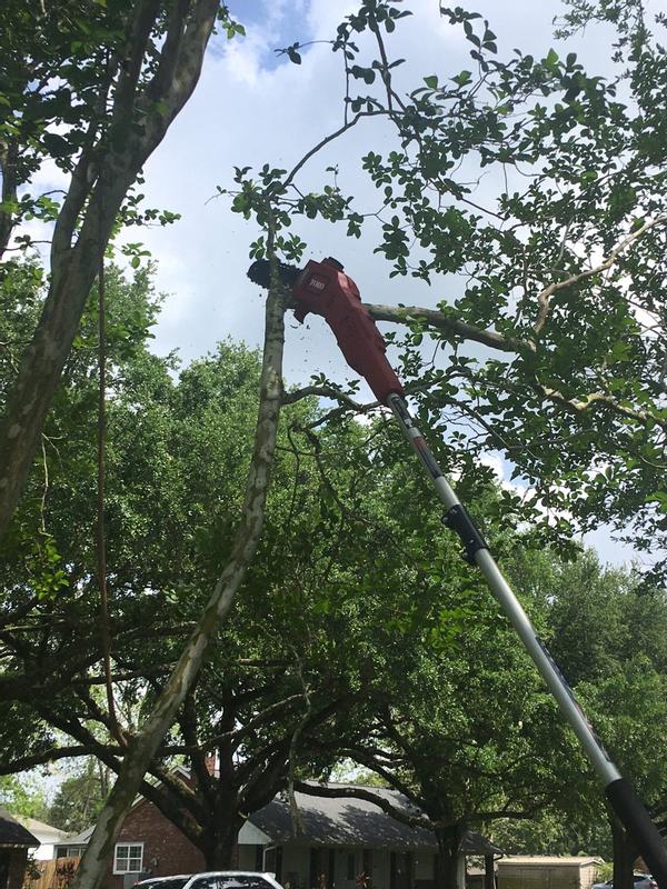 Limb cut and falling