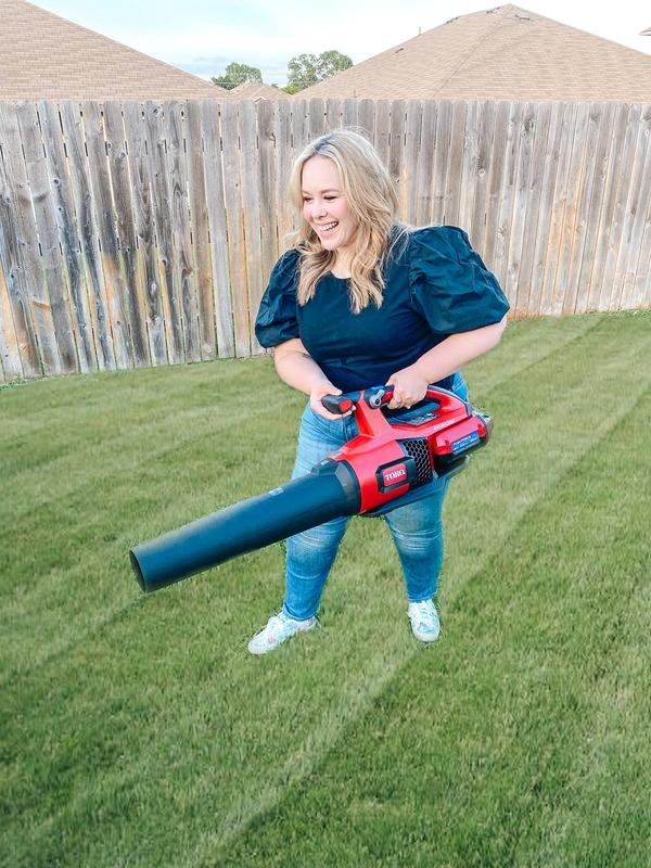 Toro Leaf Blower