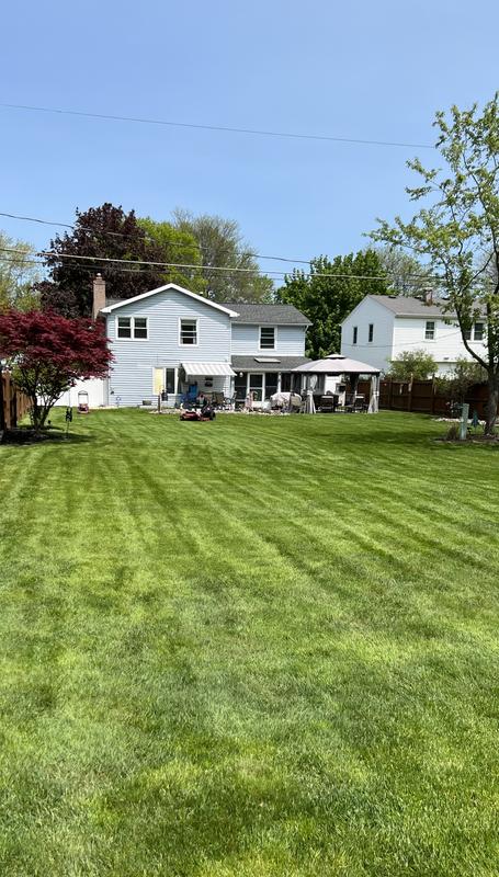 First Cut