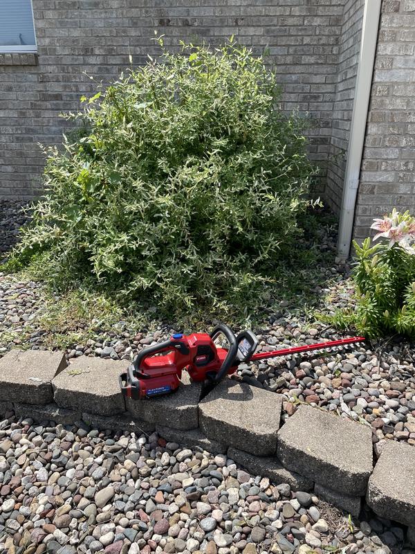 Bush a few minutes later