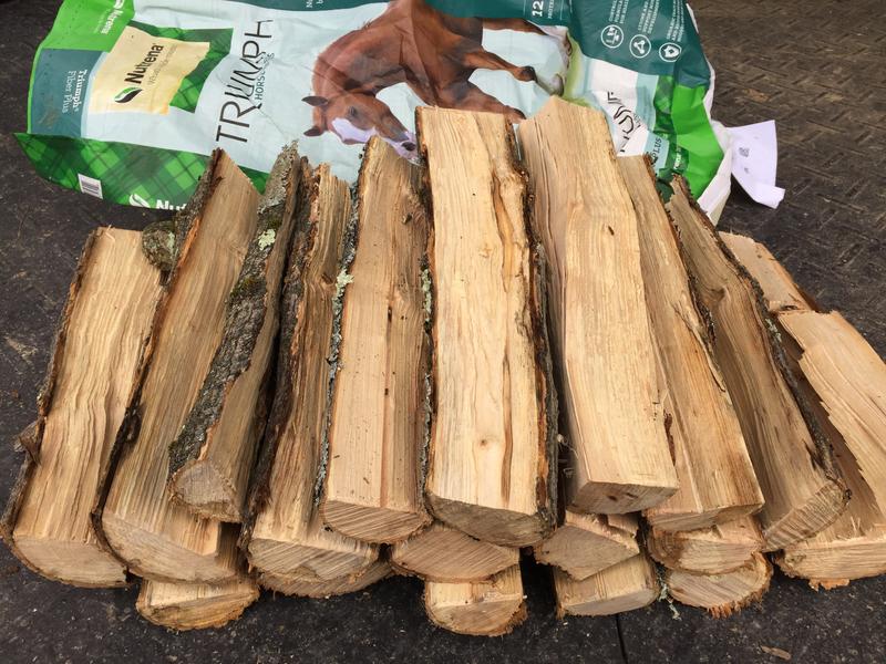 Firewood made with Toro chain saw after splitting with 5-ton electric log splitter