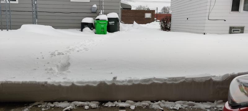 First big snowfall of 2022 - Before