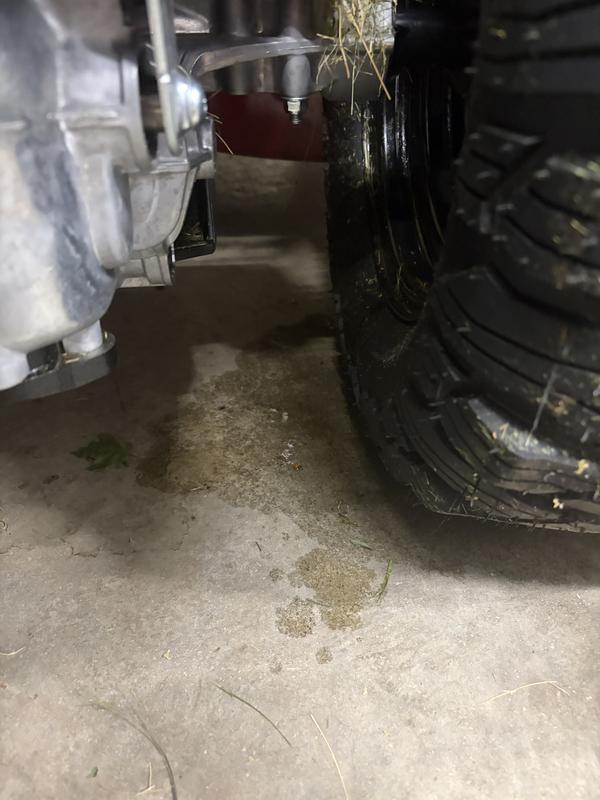 Customer photo 4