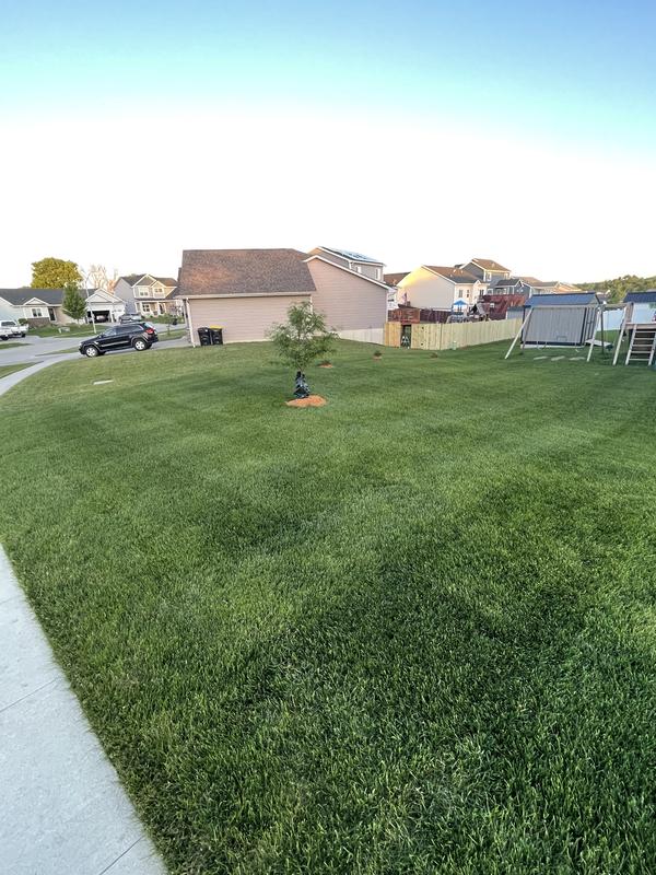 Customer photo 2 of the 54 in. (137 cm) TimeCutter® Max Zero Turn Mower