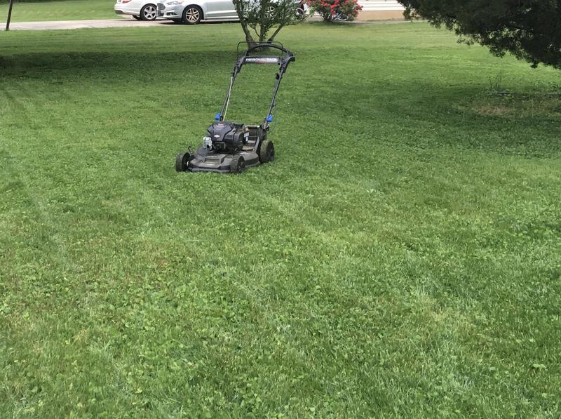 After mulching tall grass