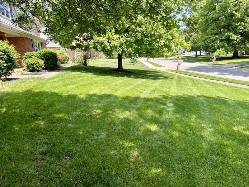 Easy to maneuver, makes decent stripes.